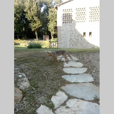 Casa Il Corbezzolo In Borgo Storico Appartamento Gambassi Terme