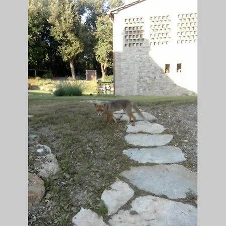 Casa Il Corbezzolo In Borgo Storico Apartment Gambassi Terme